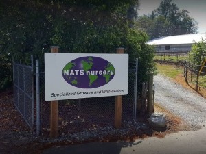 NATS Nursery Ltd