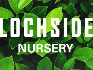 Lochside Nursery