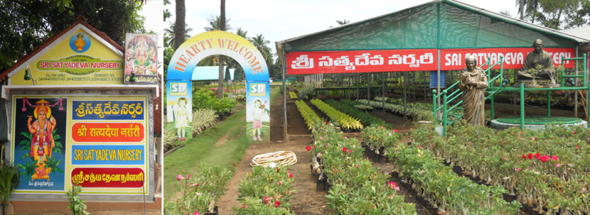 Sri Satya Deva Nursery